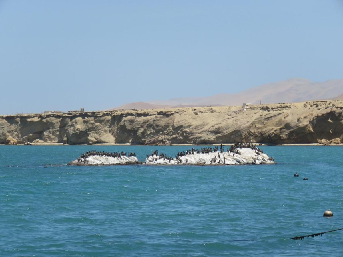 Paracas Apartment Екстериор снимка